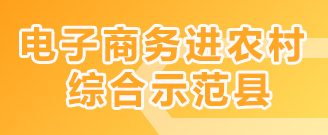 電子商務進農村綜合示范縣
